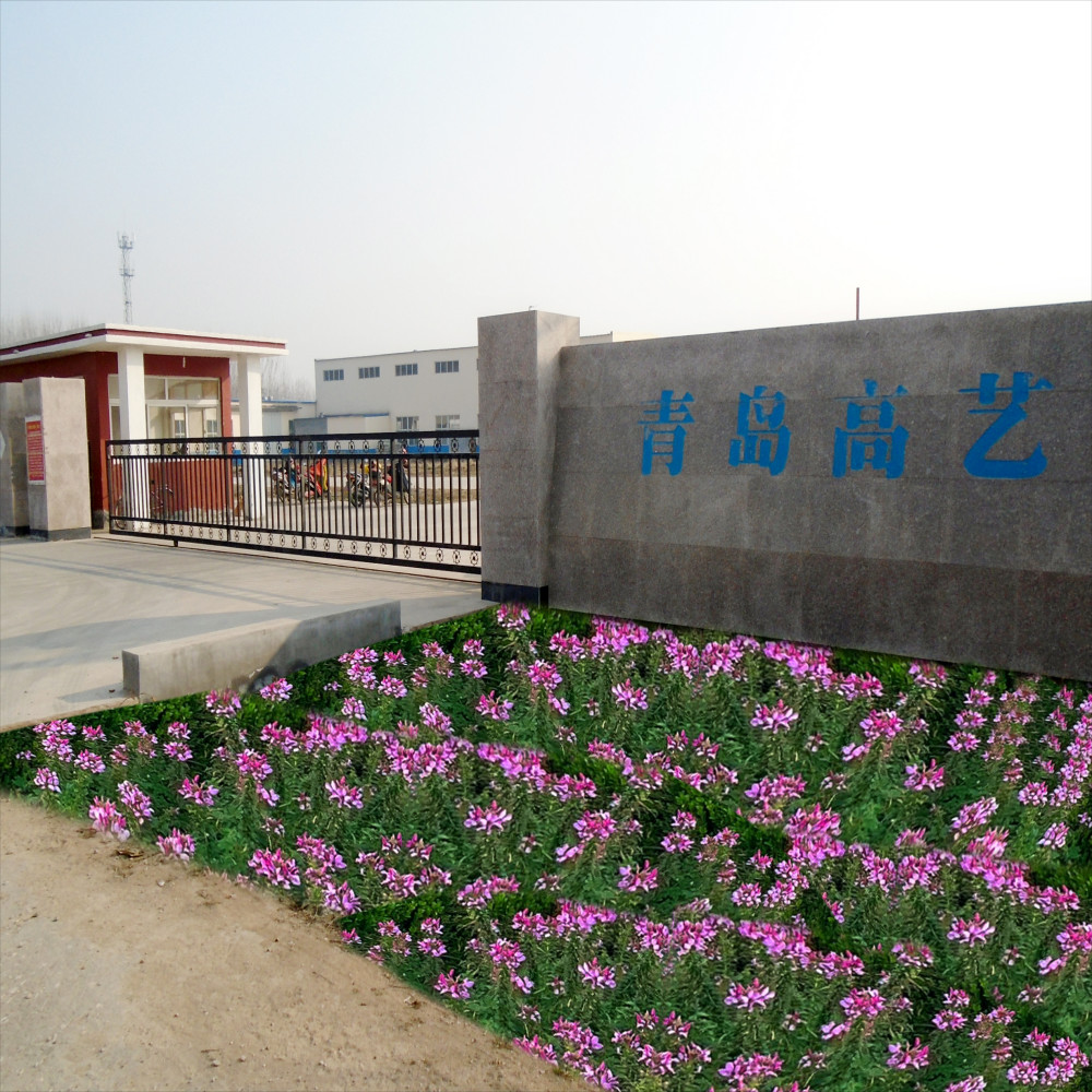중국 Qingdao High Art Glass Co., Ltd.
